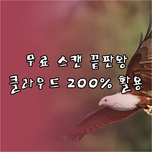 Adobe Scan 무료 설치부터 클..