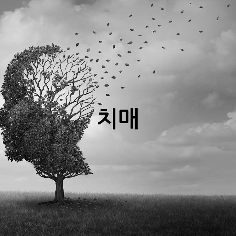 귀주름과치매와뇌졸중