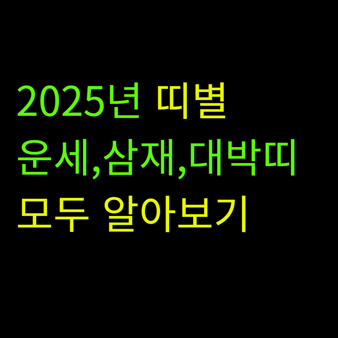 2025년 띠