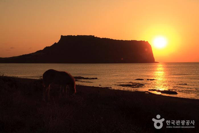 국내여름여행지추천