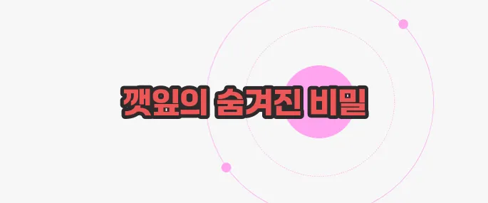 깻잎 효능 한번 정확하게 알아보도록 하죠