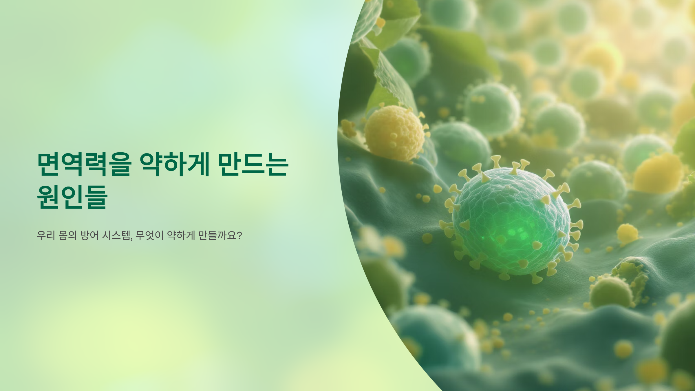 면역력 약화 원인과 회복 방법