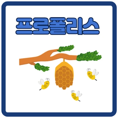 프로폴리스는 꿀벌의 선물