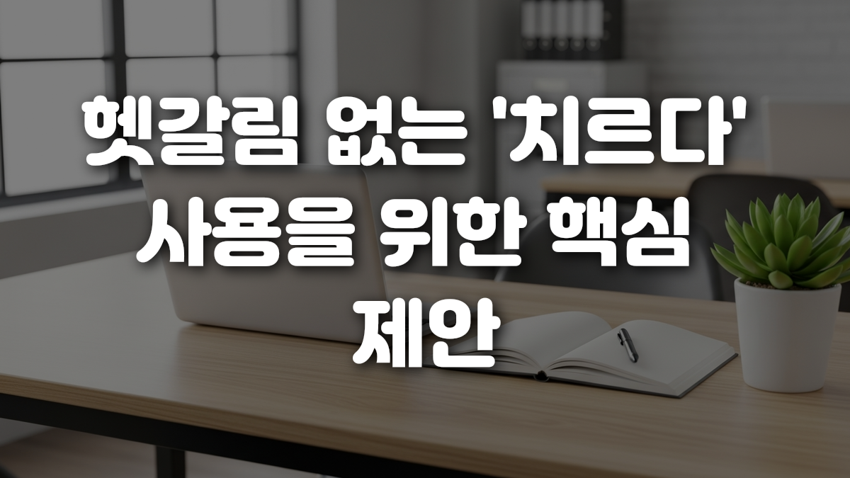 헷갈림 없는 치르다 사용을 위한 핵심 제안