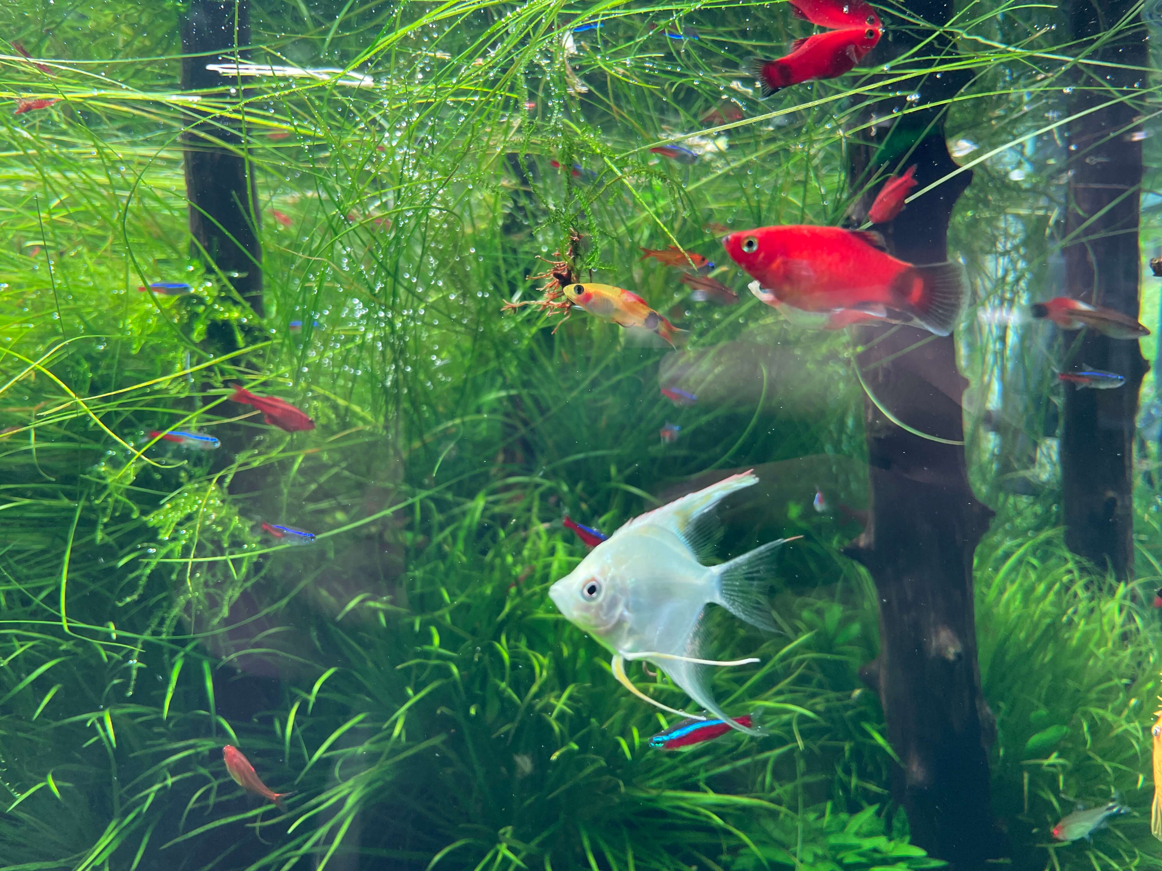 잠심-아쿠아가든