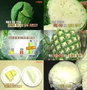 칼슘 추천