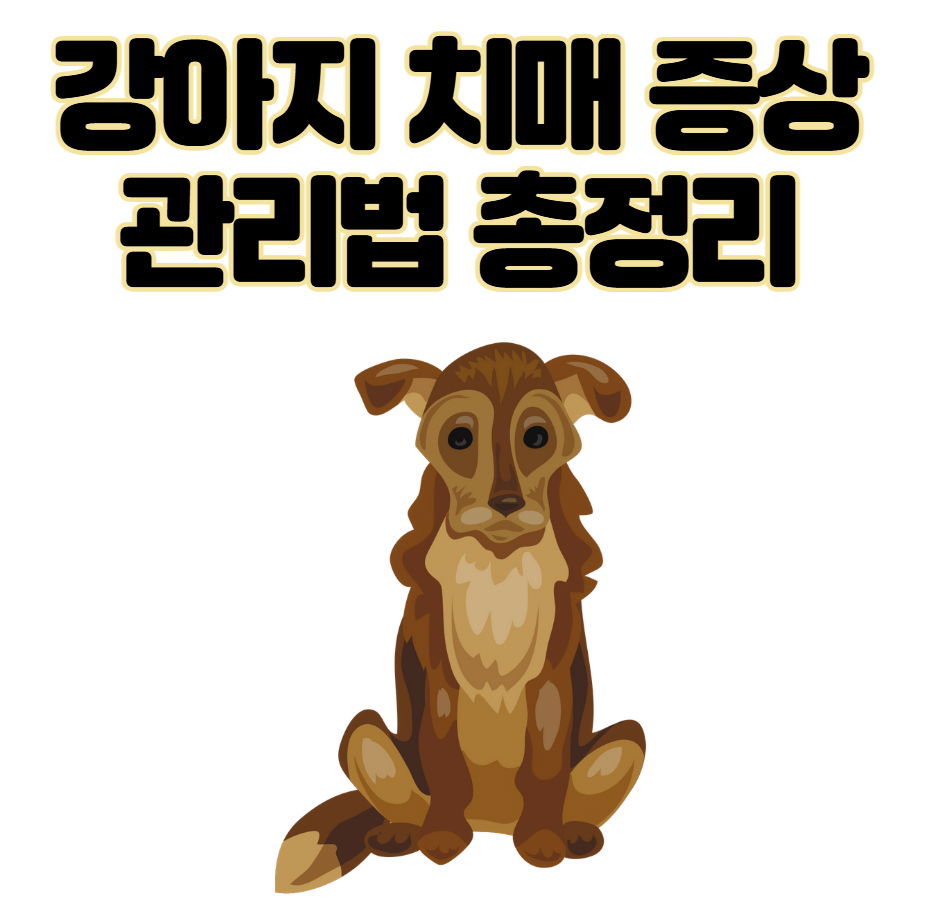 강아지 치매 증상 보호자가 알아야 할 관리법 총정리