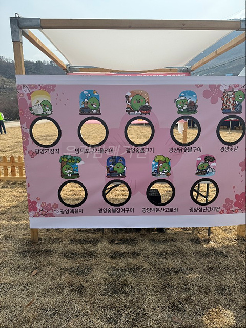 광양매화축제 기간 입장료 개화상황 프로그램 주차장 셔틀버스 25년3월8일실시간사진