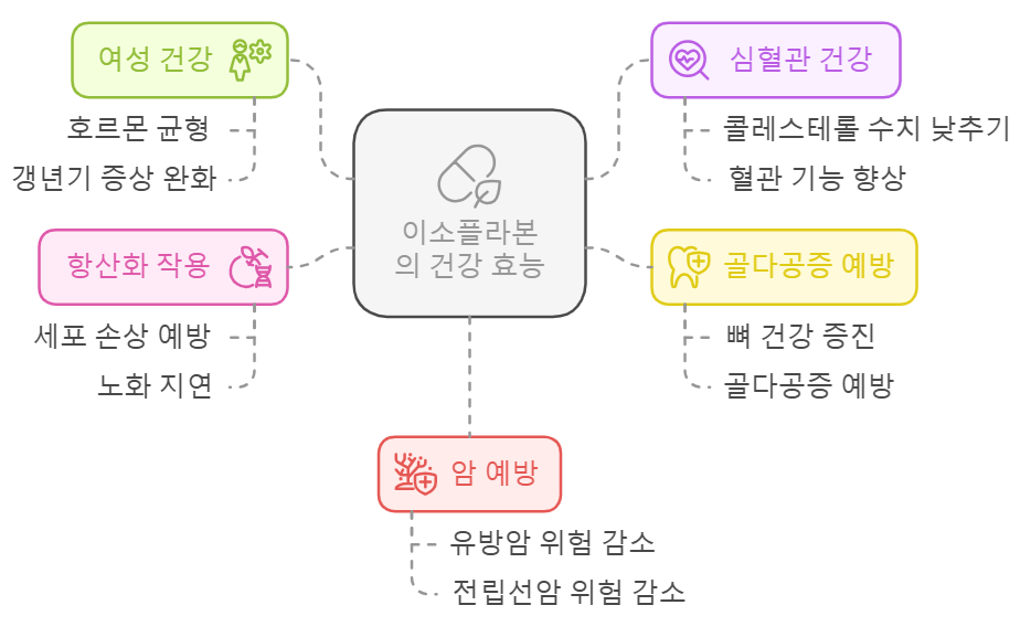 이소플라본 효능