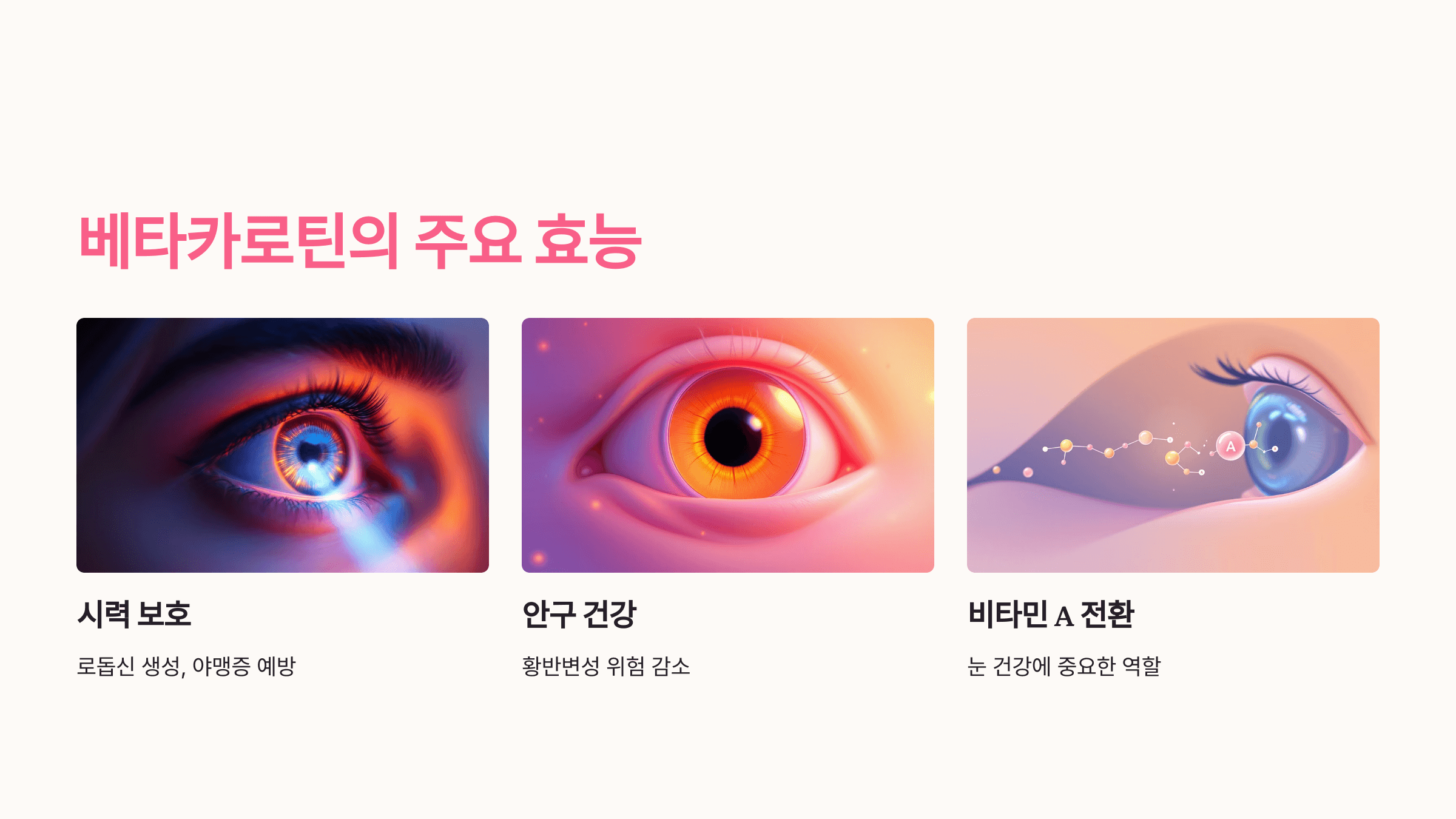 베타카로틴과 관련된 사진입니다.