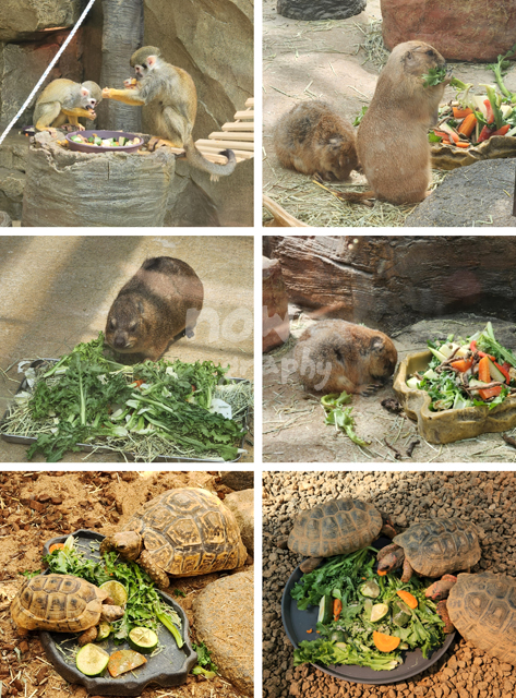 아산시-생태곤충원