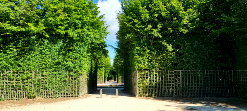 베르사유 궁전 밖 라토나분수 좌측 오렌지 정원 상세4