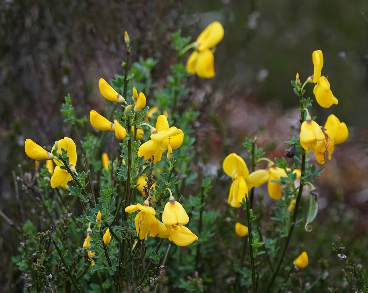 한 달간 헬시 플레저 드링크 마신 후기
