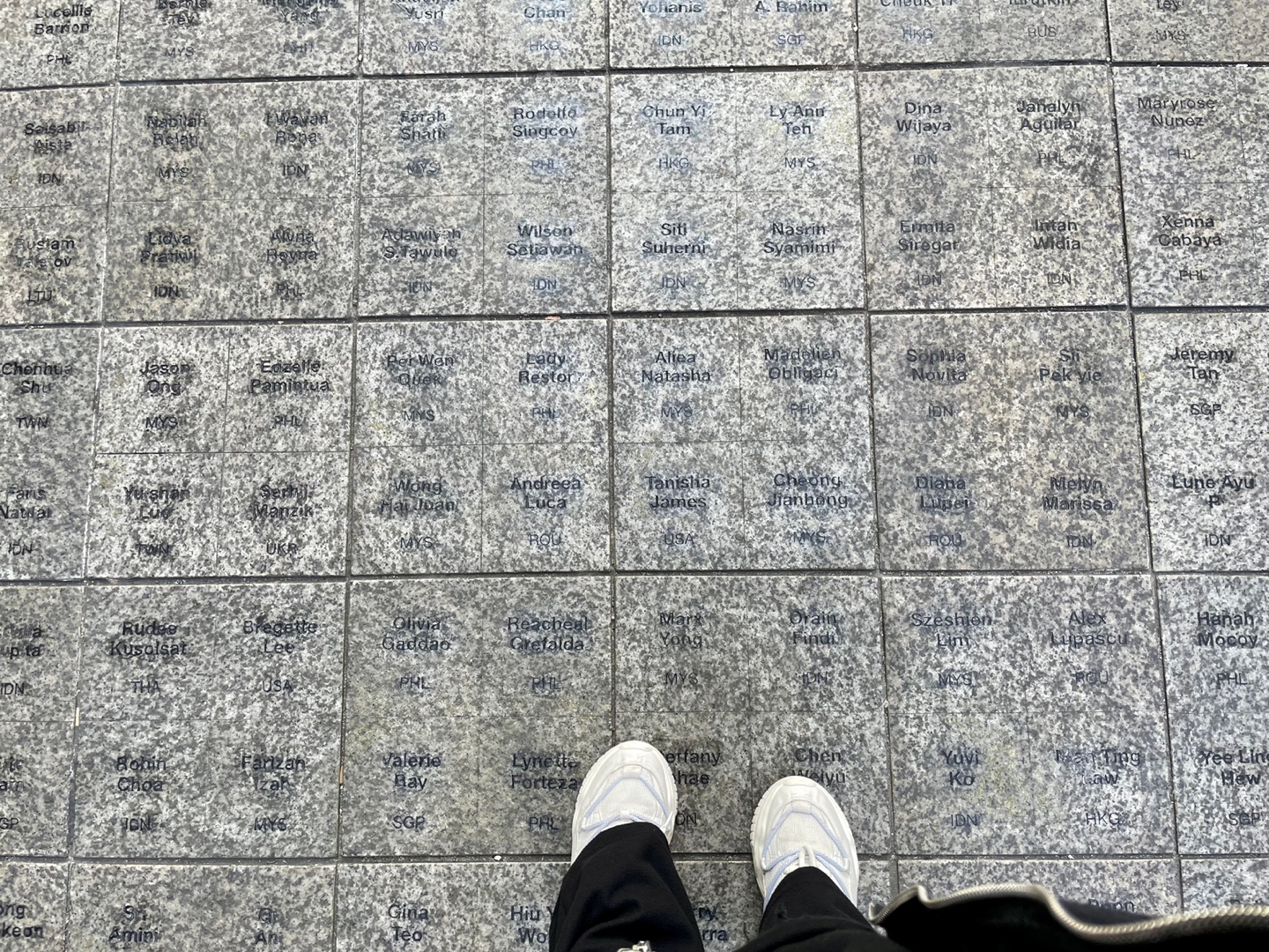 ๋ก๋ณถ์ด