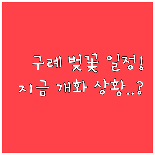 2026년 구례 벚꽃 축제 일정 및 ..