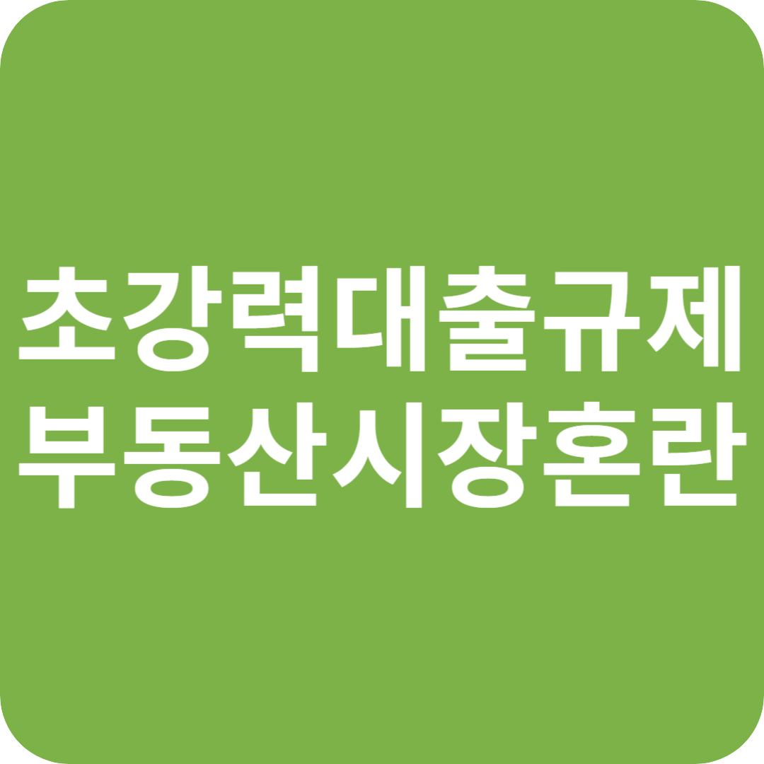 정부의 '초강력 대출 규제', 부동산 시장 대혼란 글자 이미지