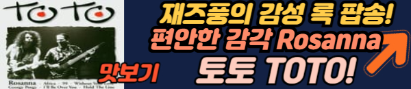 토토 로사나