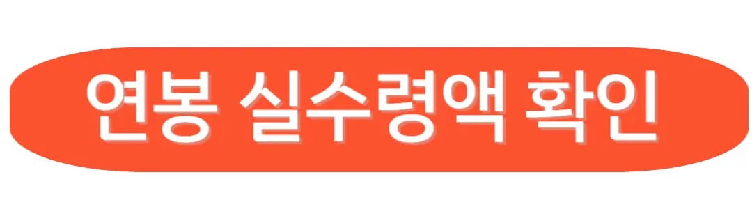 연봉실수령액 확인