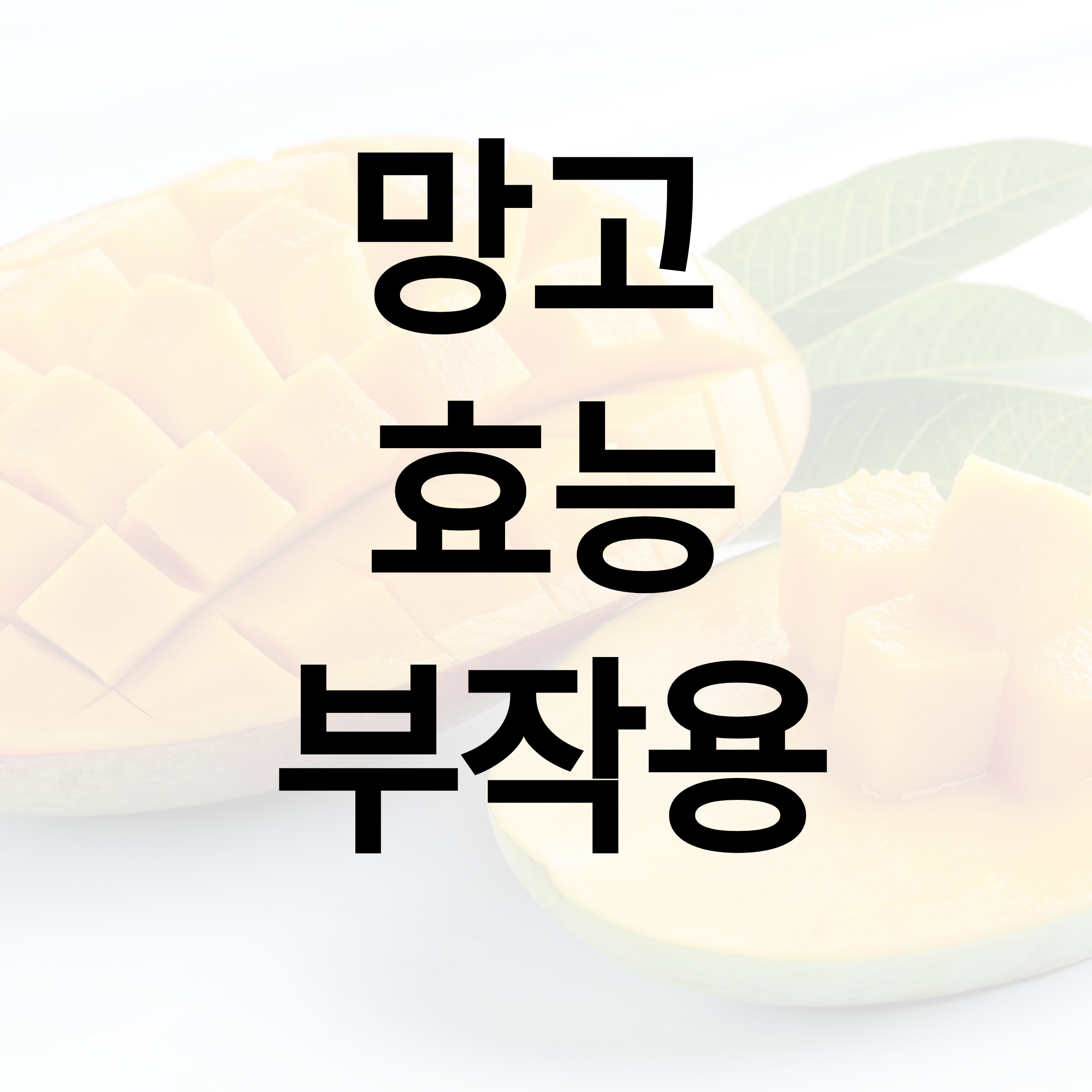 망고의 효능과 부작용 쉽고 빠르게 알아보기!