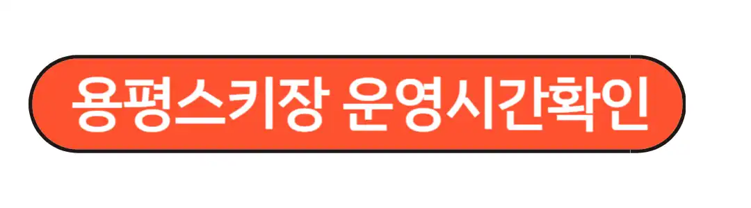 전국 스키장 개장일