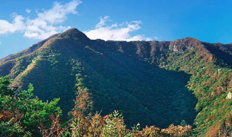 내장산 생태탐방원