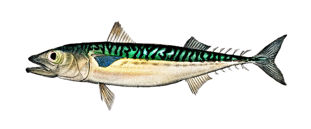 관절염 영양제&amp;#44;관절염 예방을 위한 필요한 비타민은?