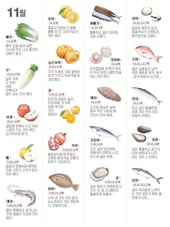 11월 제철음식