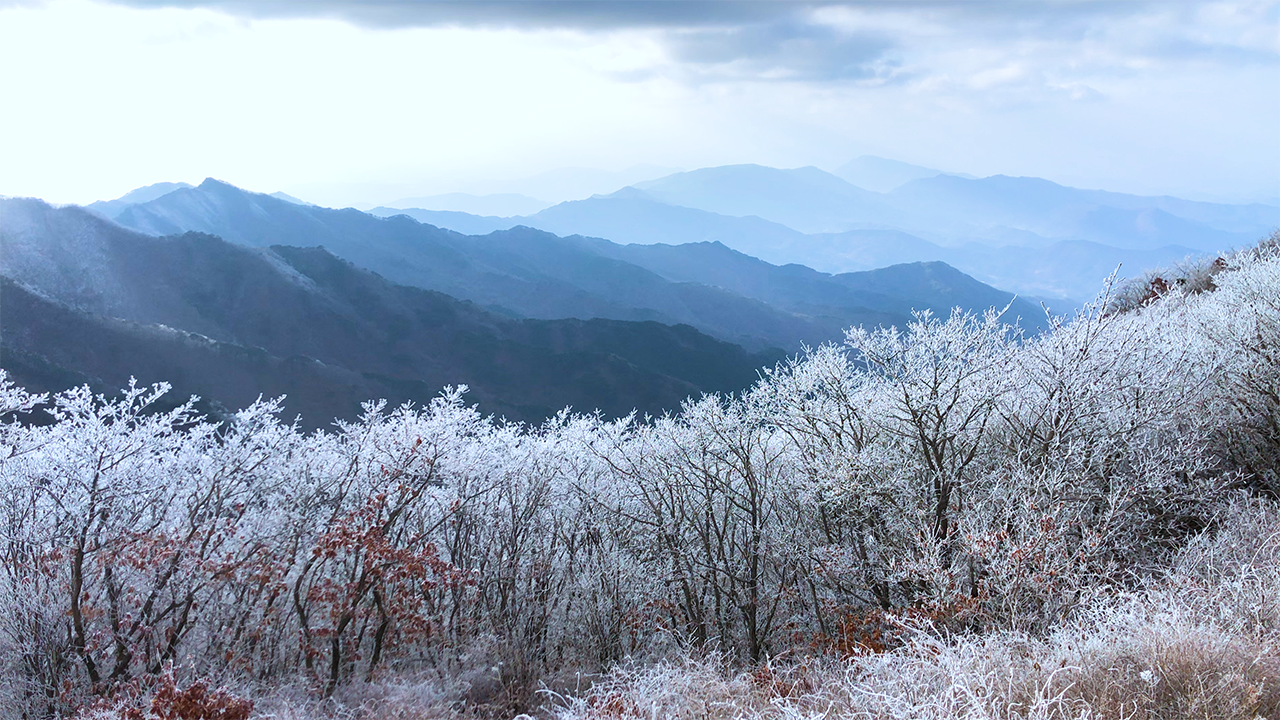 팔공산 겨울 설산