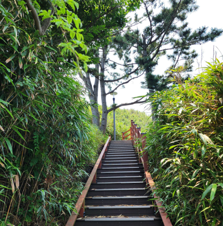 덕봉산 해안생태탐방로