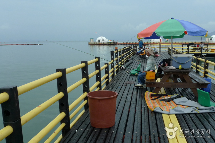 장흥 가볼만한곳 베스트10