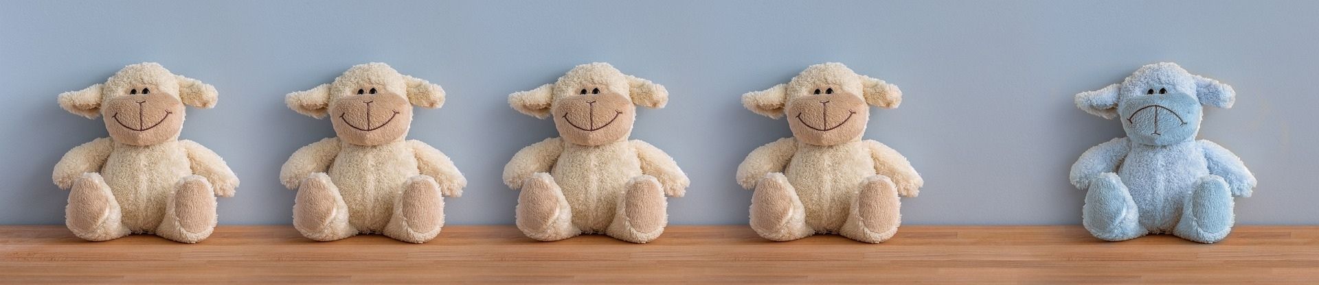 같은 인형4개와 다른 인형 1개의 모습