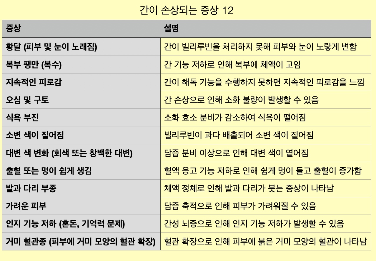 간 손상 증상 12