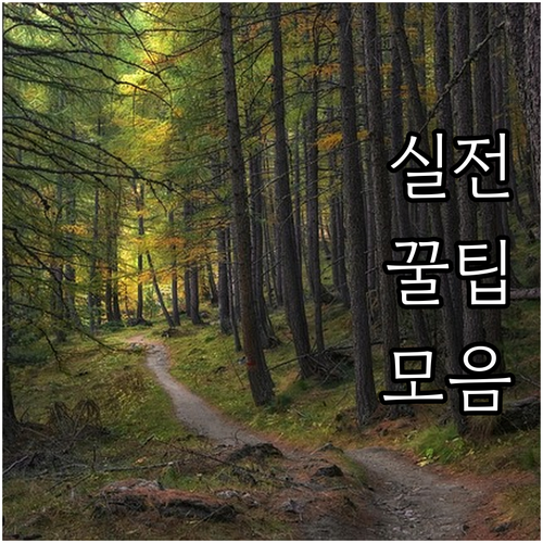 기술보증기금 2025 기후환경보증 신..