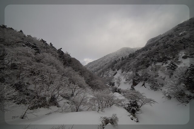 새해 맞이 한라산 야간 탐방예약안내 이용요금