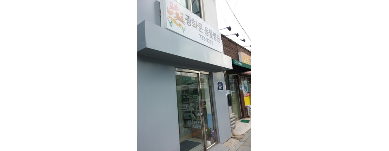 서울 종로구 동물병원