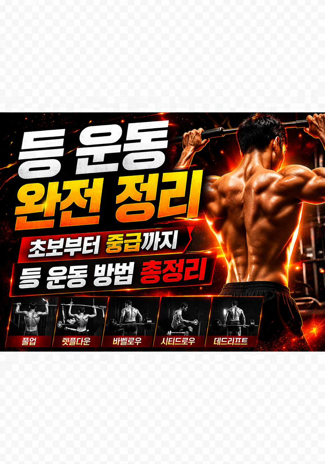 등 운동 완전 정리