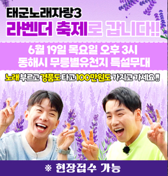 무릉별유천지 라벤더 축제