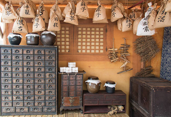 동의보감부터 의생제도까지: 알아두면 유익한 조선시대 건강관리 시스템2