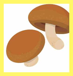 표고버섯-보관방법