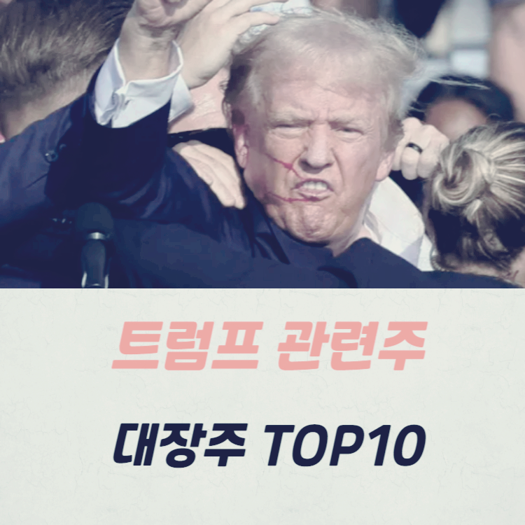 트럼프 관련주 대장주 TOP10