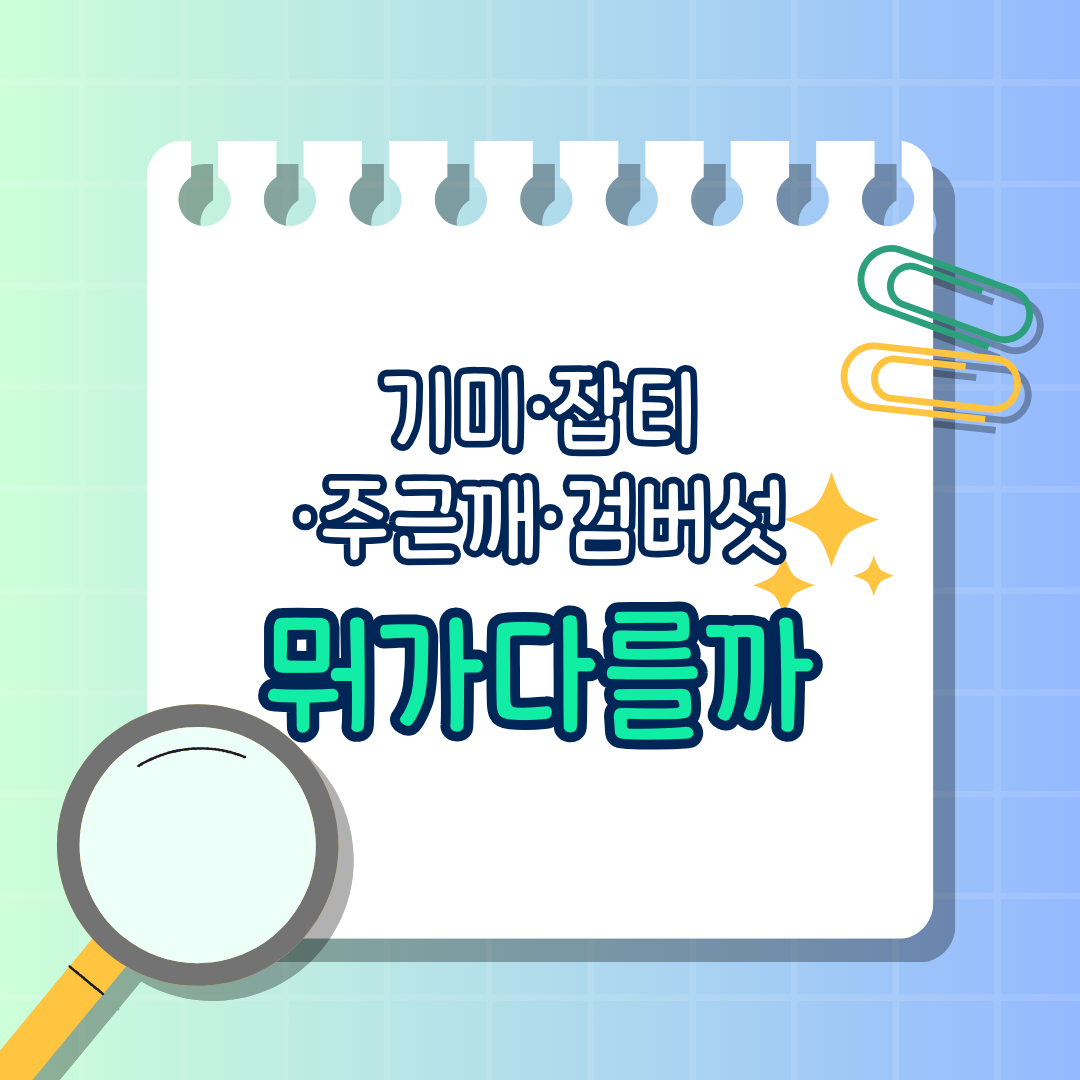 기미·잡티·주근깨·검버섯 차이점