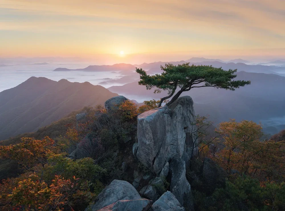 대둔산 등산코스