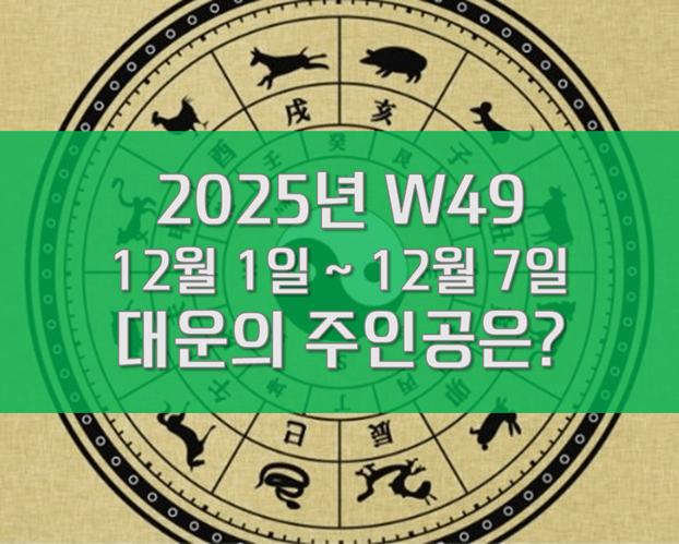 W49 주간운세