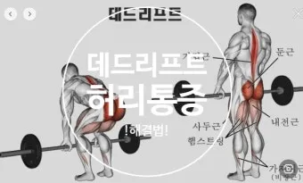 데드리프트 고중량 저반복 vs 저중량 고반복 비교 정리_8