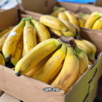 장염에 좋은 음식