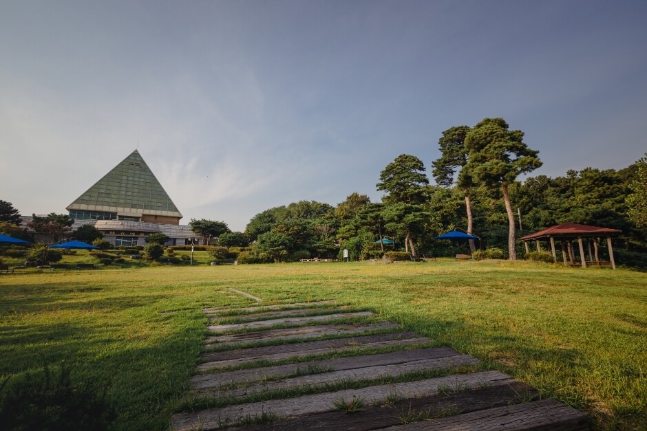 평택 가볼만한곳 베스트 10