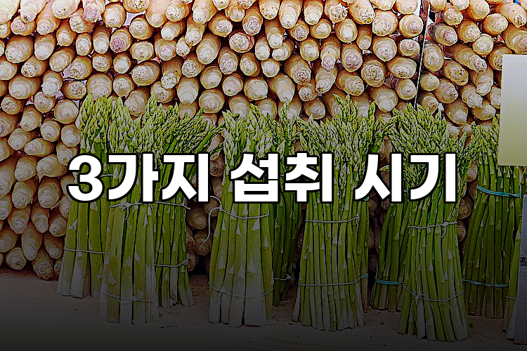 3가지 섭취 시기