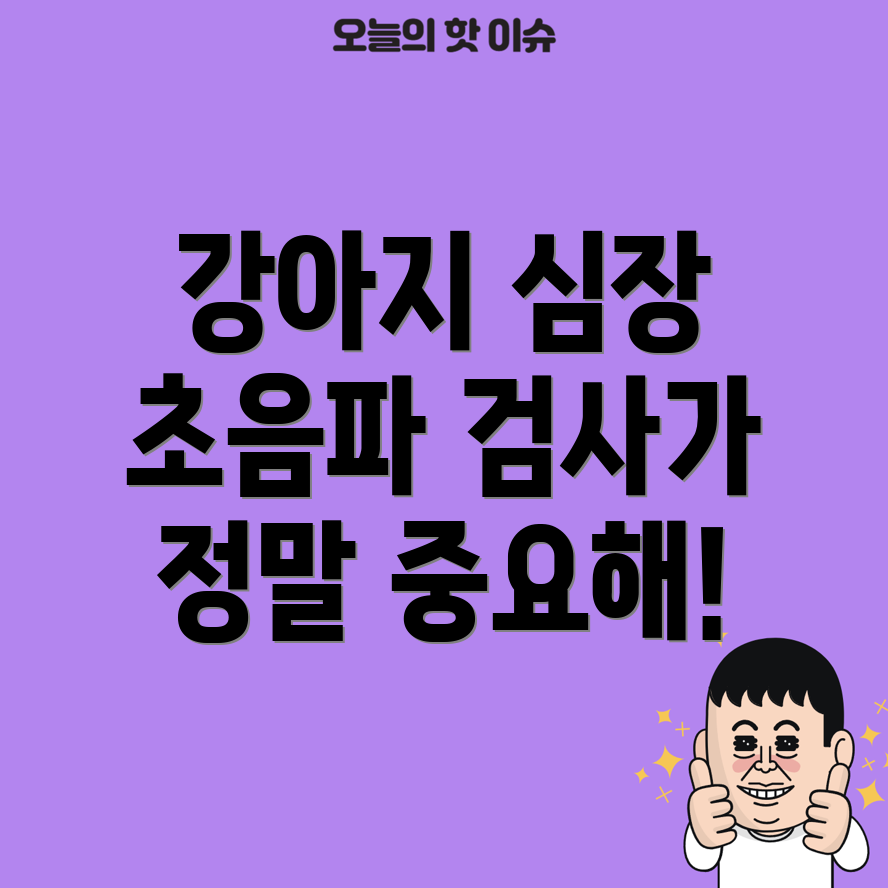 강아지 심장 초음파 검사