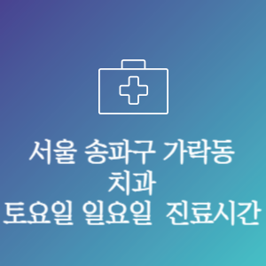 서울 송파구 가락동 치과 주말 토요일 일요일 문여는 병원 진료시간