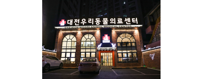 대전 중구 동물병원